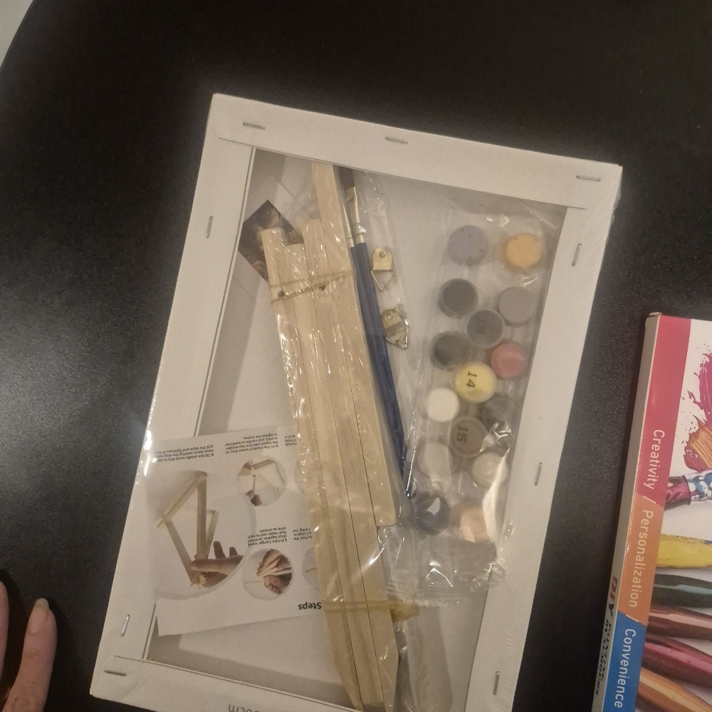 DIY PAINT BY NUMBERS - Picture 2 of 3